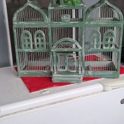Bird Cage 