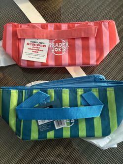 NEW Trader Joe’s Striped mini insulated bag