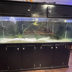 130 Gallon glass Aquarium , Stand & Hood