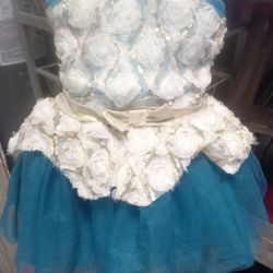 Lil Girls Dress 