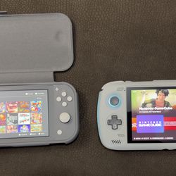 Nintendo Switch Lite & AYN Odin 2 Pro