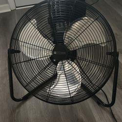 New Fan