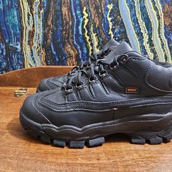 Worx Cobalt