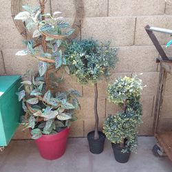 Silk Plant Topiary in Pot & 2 Other Fake Plants - $20 for all 3