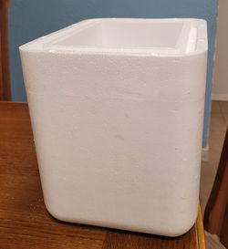 Small Styrofoam cooler with 3 gel ice packs