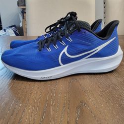 Nike Zoom Pegasus 