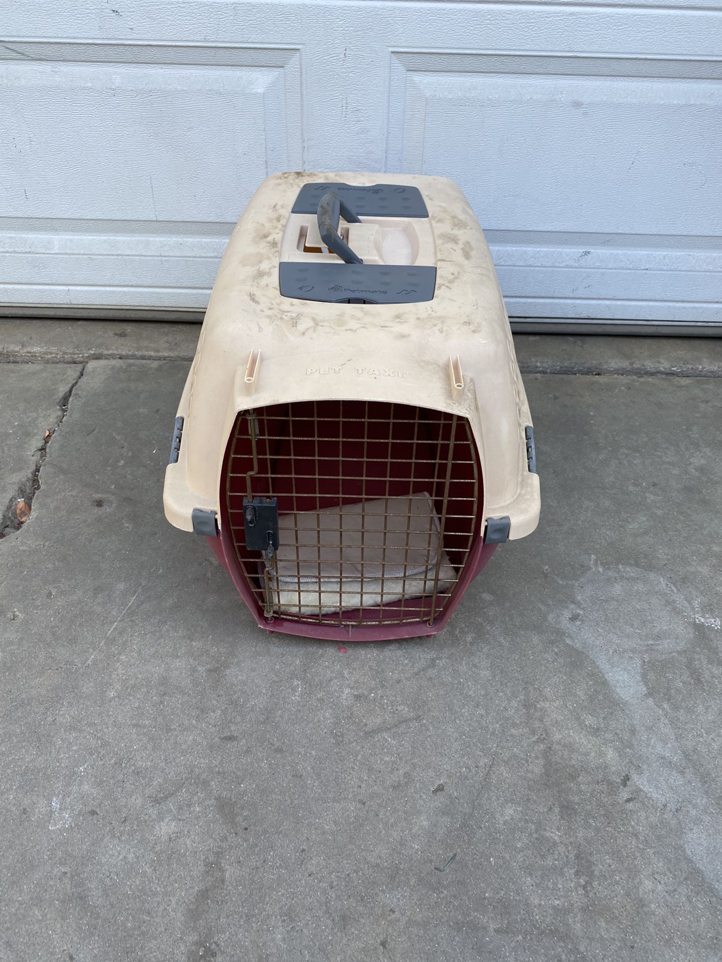 Pet Carrier Look At All The Pictures