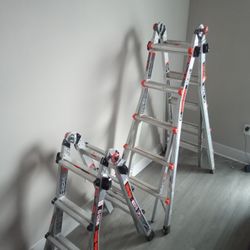 2 Little Giant Ladders 2 Sizes