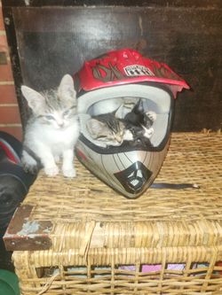 Bike helmet