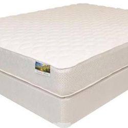 $199 Special -> Queen Quilted Orthopedic Mattress