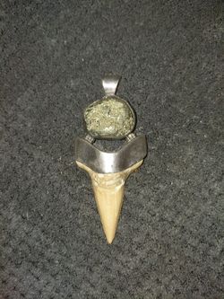 Fossilized Shark Tooth Pendant