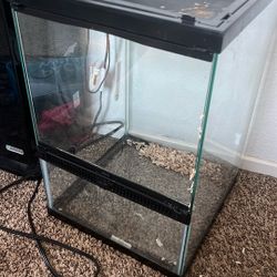 12x12x18 Arboreal Terrarium