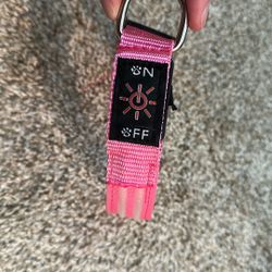 Dog Collar Light Up Small