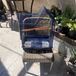 Bird Cage 