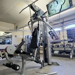 Hoist Home Gym 