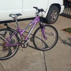Sx 2000 Aluminum Hydroform 2006