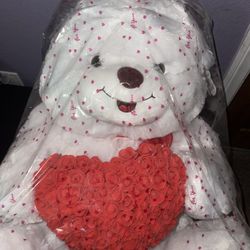NEW BIG BEAR 