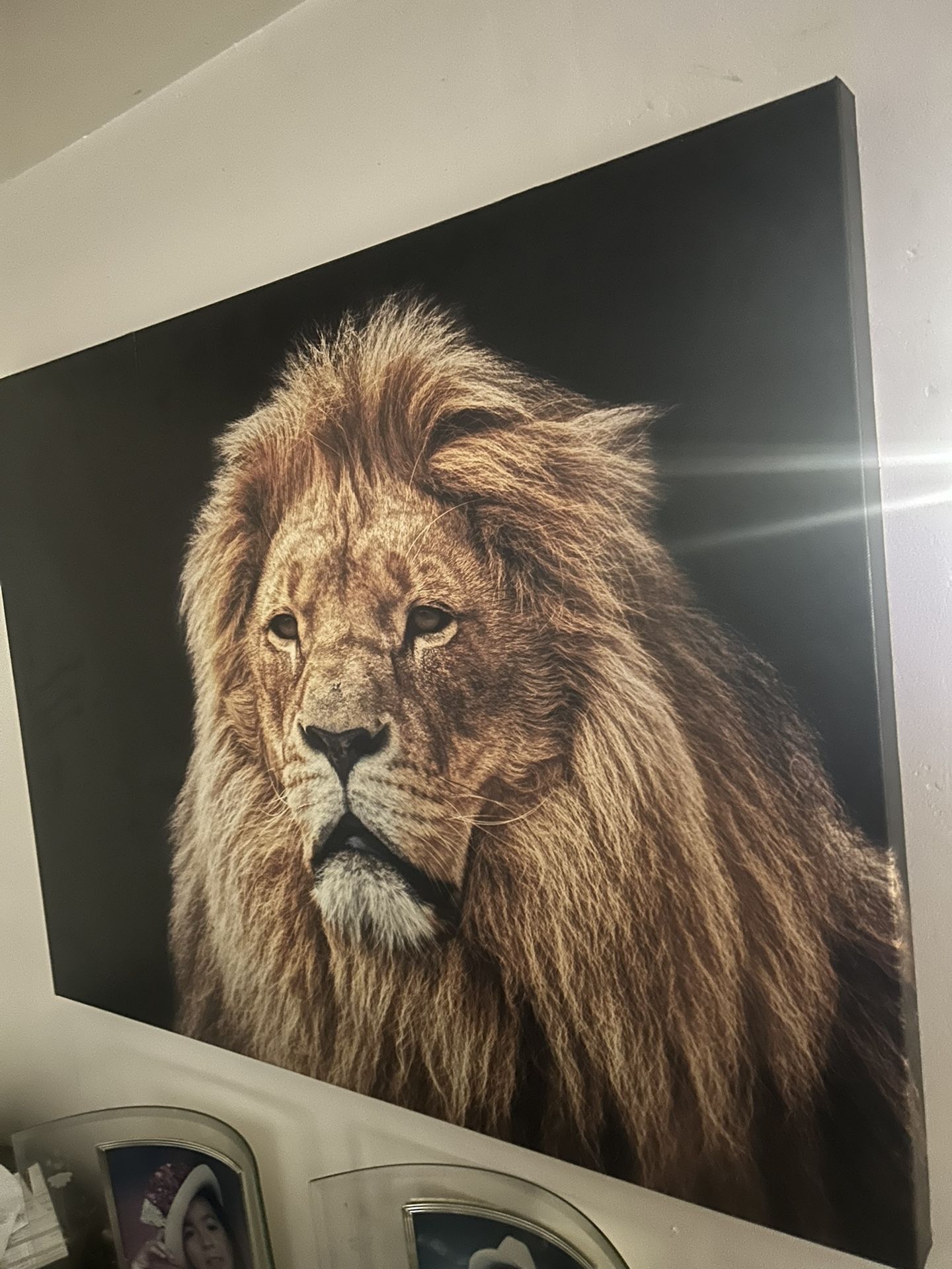 Large Lion Painting