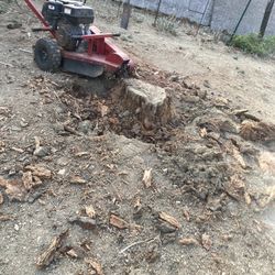 Stump Grinder