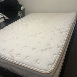 Aueen - Organic SAATVA mattress + bed frame