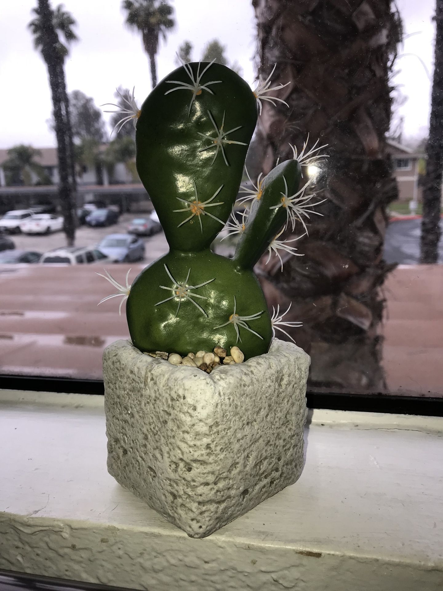 Fake cactus plant