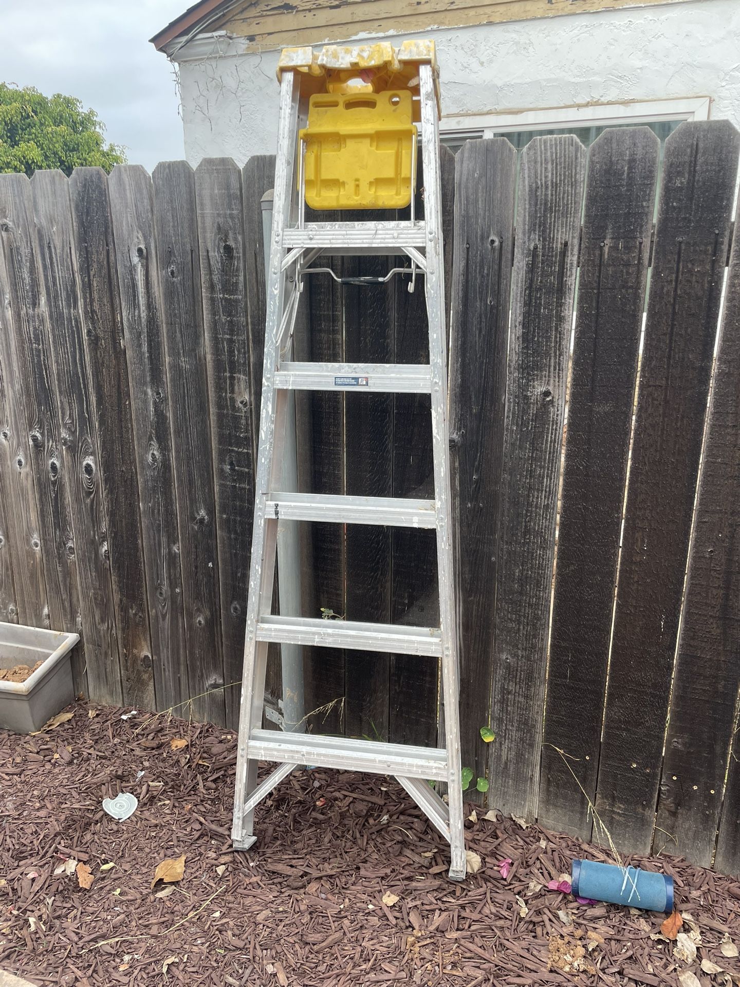 Werner 6 Foot Metal Laddee