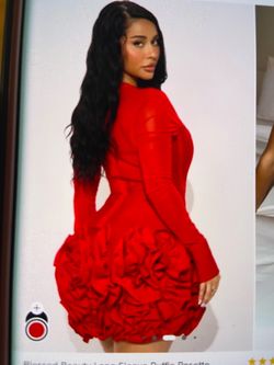 Blessed Beauty Long Sleeve ruffle Rosette Mini Dress