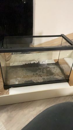 10 gallon glass terrarium