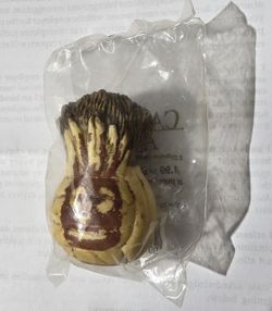 Wilson Antenna Topper