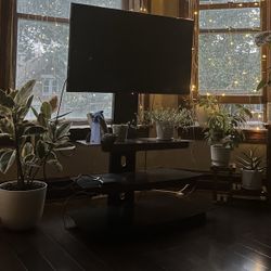 Standing TV Mount 