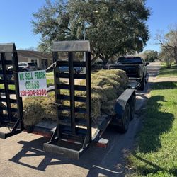 Grass We Deliver