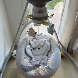 Fisher-Price Snuga Infant Swing