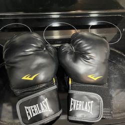 Men’s Everlast  Boxing gloves