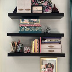 Black Book Shelves 