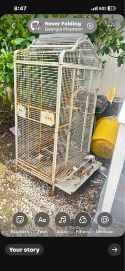 Play top parrot bird cage