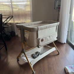 Basinet 