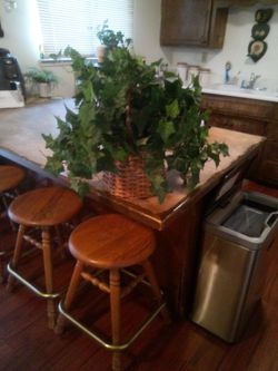 Fake plant