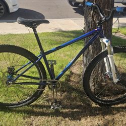 Single Speed Mountain Bike