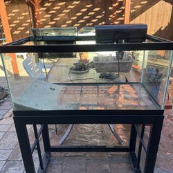 40g tank and stand 