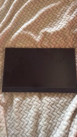 Portable monitor
