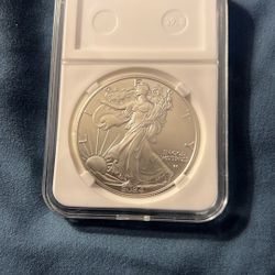 2024 Silver Eagle