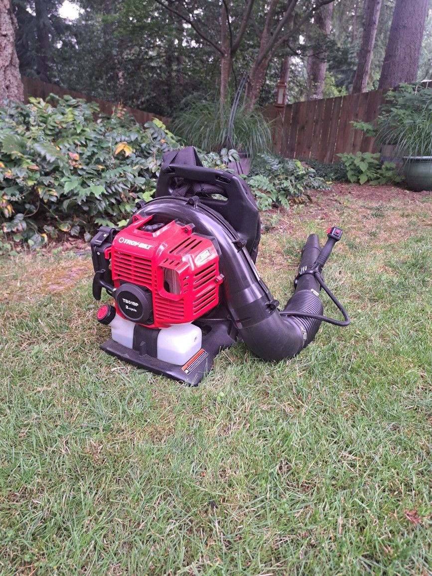 Like new Troy-Bilt Backpack Leaf Blower