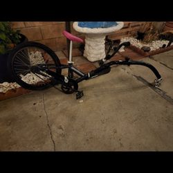  Co-Pilot Bike Trailer, Green, 20 inch