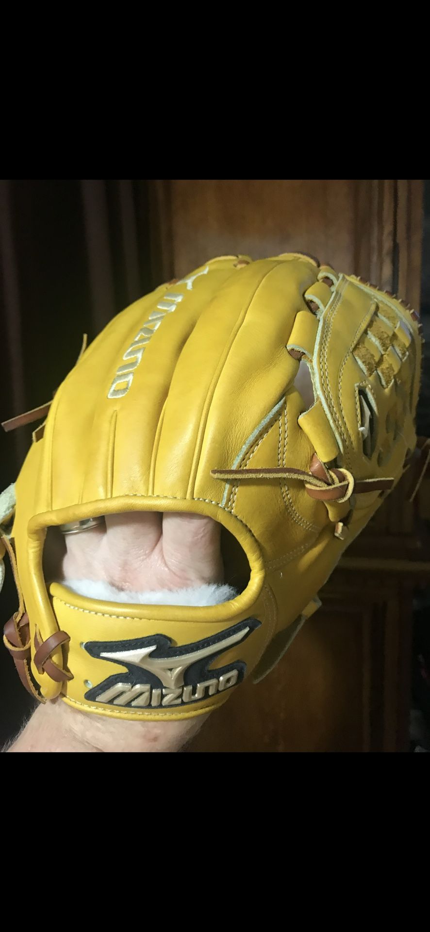 Mizuno Baseball Glove