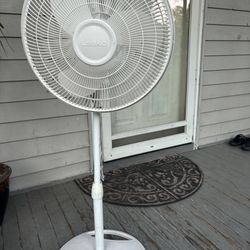 Fan 