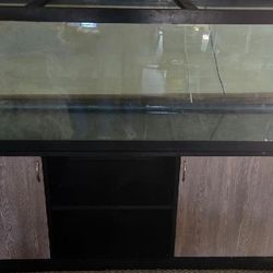 125 Gal Fish Tank Complete Set Up