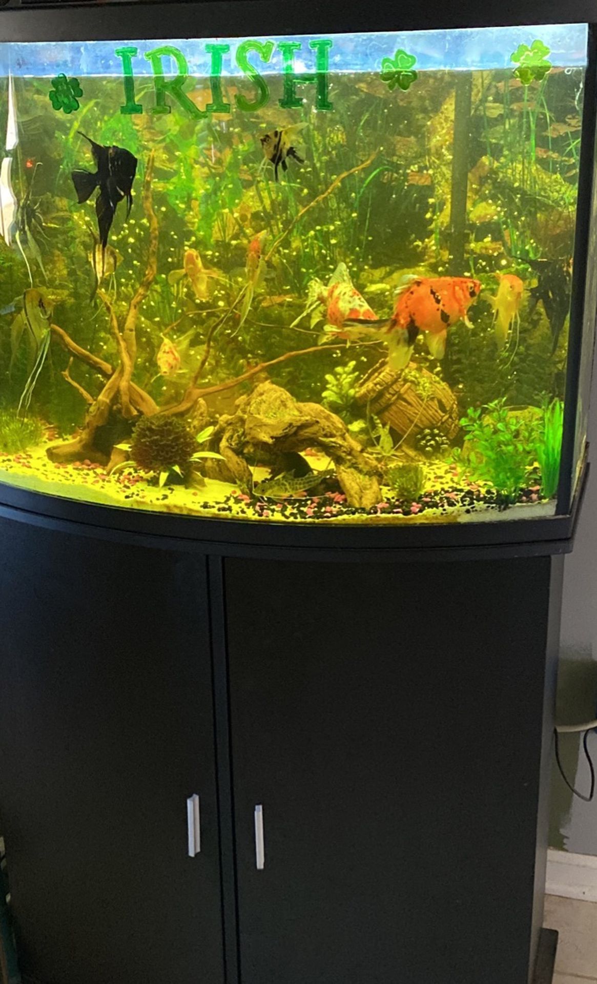 36 Gallon Fish Tank With Stand (fish Not Included)
