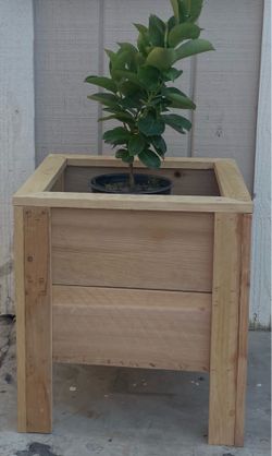 Planters