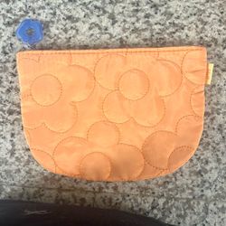 Ipsy Bag