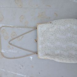 Vintage Beaded Evening Bag